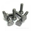 black Stud Bolts With 2 Nuts